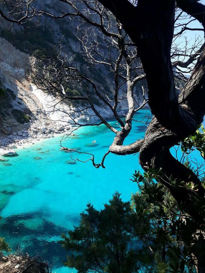 Appartamento Casa il Cortile Fiorito Tortolì Esterno foto